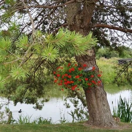 Au Chemin Du Paradis De 10 Personnes 4 Etoiles Dom wakacyjny Saint-Martin-Lez-Tatinghem
